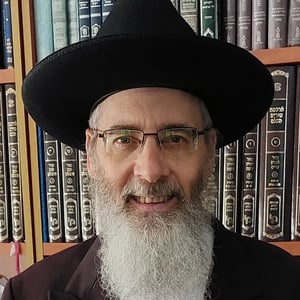 Rabbi Eliyahu Shear logo